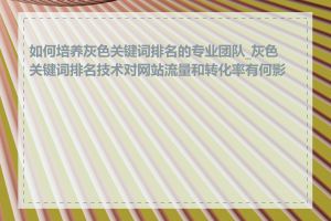 如何培养灰色关键词排名的专业团队_灰色关键词排名技术对网站流量和转化率有何影响