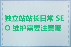 独立站站长日常 SEO 维护需要注意哪些