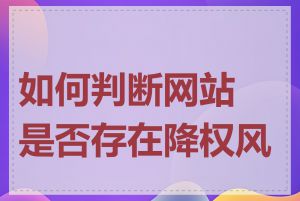 如何判断网站是否存在降权风险