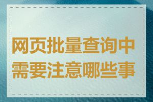 网页批量查询中需要注意哪些事项