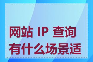 网站 IP 查询有什么场景适用