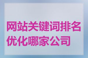 网站关键词排名优化哪家公司好