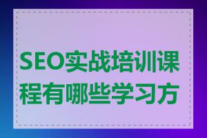 SEO实战培训课程有哪些学习方式