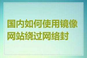 国内如何使用镜像网站绕过网络封锁