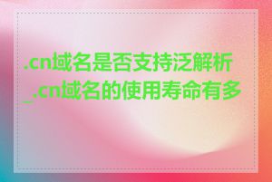 .cn域名是否支持泛解析_.cn域名的使用寿命有多长