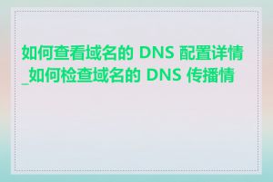 如何查看域名的 DNS 配置详情_如何检查域名的 DNS 传播情况