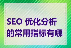 SEO 优化分析的常用指标有哪些