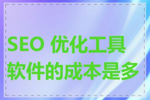 SEO 优化工具软件的成本是多少