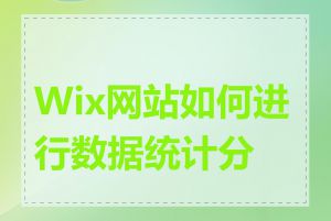 Wix网站如何进行数据统计分析