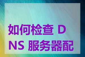 如何检查 DNS 服务器配置