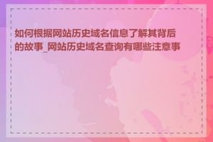 如何根据网站历史域名信息了解其背后的故事_网站历史域名查询有哪些注意事项