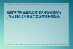 在线SEO综合查询工具可以分析哪些指标_在线SEO综合查询工具如何提升网站排名