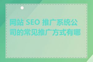 网站 SEO 推广系统公司的常见推广方式有哪些