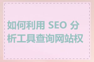 如何利用 SEO 分析工具查询网站权重