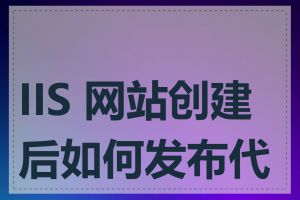 IIS 网站创建后如何发布代码