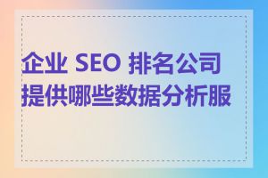 企业 SEO 排名公司提供哪些数据分析服务