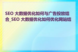 SEO 大数据优化如何与广告投放结合_SEO 大数据优化如何优化网站结构