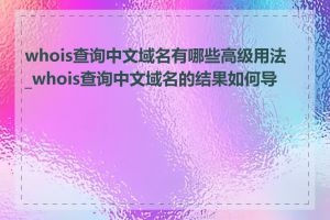 whois查询中文域名有哪些高级用法_whois查询中文域名的结果如何导出