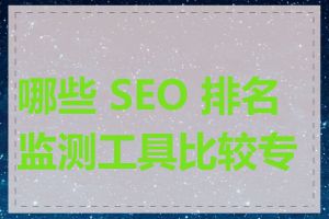 哪些 SEO 排名监测工具比较专业