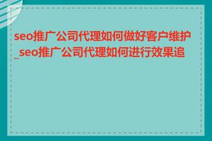 seo推广公司代理如何做好客户维护_seo推广公司代理如何进行效果追踪