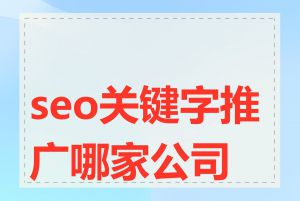 seo关键字推广哪家公司好