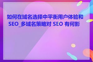 如何在域名选择中平衡用户体验和 SEO_多域名策略对 SEO 有何影响