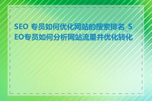 SEO 专员如何优化网站的搜索排名_SEO专员如何分析网站流量并优化转化率