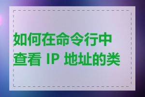 如何在命令行中查看 IP 地址的类型