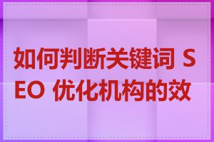 如何判断关键词 SEO 优化机构的效果