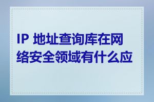 IP 地址查询库在网络安全领域有什么应用