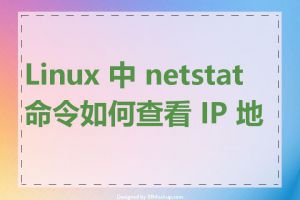 Linux 中 netstat 命令如何查看 IP 地址