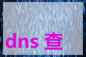 dns 查询性能分析