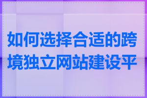 如何选择合适的跨境独立网站建设平台