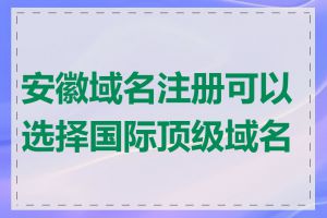 安徽域名注册可以选择国际顶级域名吗