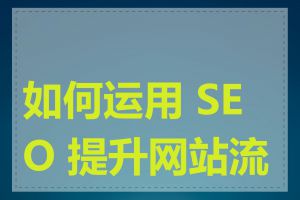 如何运用 SEO 提升网站流量