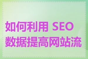 如何利用 SEO 数据提高网站流量