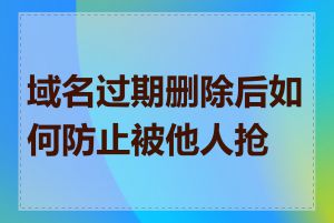 域名过期删除后如何防止被他人抢注