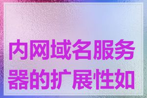 内网域名服务器的扩展性如何