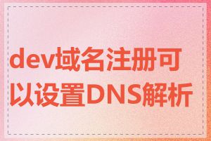 dev域名注册可以设置DNS解析吗