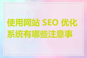 使用网站 SEO 优化系统有哪些注意事项