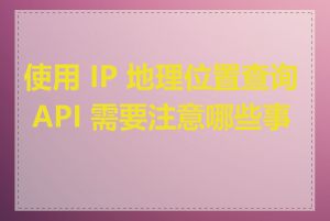 使用 IP 地理位置查询 API 需要注意哪些事项