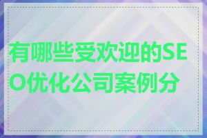 有哪些受欢迎的SEO优化公司案例分享