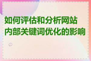 如何评估和分析网站内部关键词优化的影响力