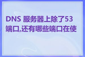 DNS 服务器上除了53端口,还有哪些端口在使用