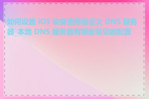 如何设置 iOS 设备使用自定义 DNS 服务器_本地 DNS 服务器有哪些常见的配置项