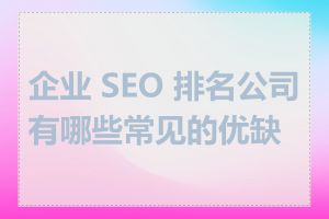 企业 SEO 排名公司有哪些常见的优缺点