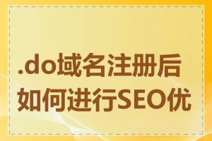 .do域名注册后如何进行SEO优化