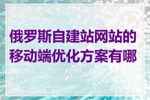 俄罗斯自建站网站的移动端优化方案有哪些