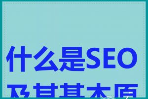 什么是SEO及其基本原理