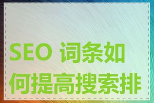 SEO 词条如何提高搜索排名